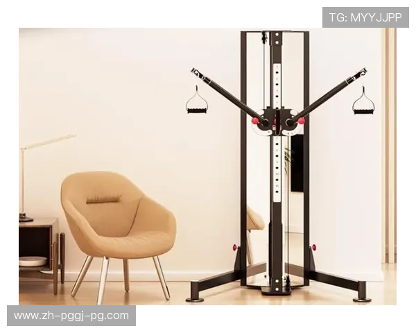 室内健身器材图解全览新手自学快速上手